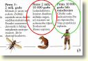 cilvēka evolūcija